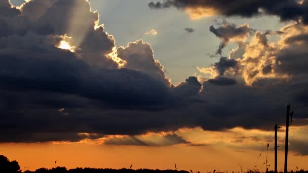 Bela paisagem roxa com céu, nuvens nascer do sol uma paisagem romântica — Vídeo de Stock