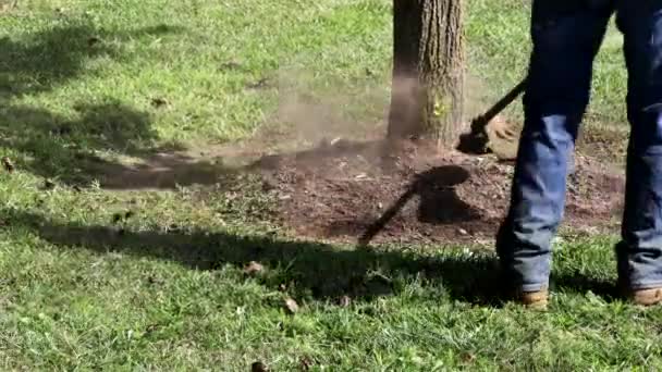 Un tosaerba falcia erba fresca e verde sul prato vicino, un lavoratore comunale con tosaerba in mano. — Video Stock