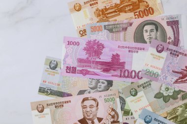 Kuzey Kore 'nin çeşitli banknotlarından para kazandı.