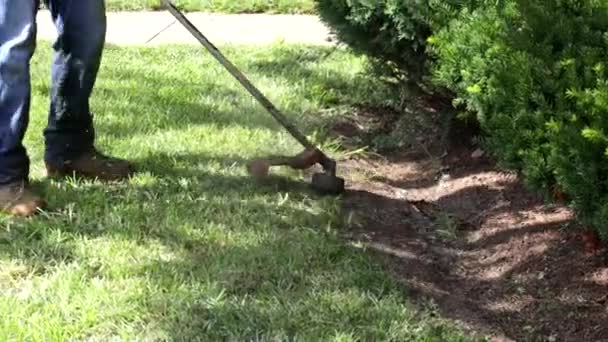 El jardinero corta la hierba con un cortacésped. — Vídeos de Stock