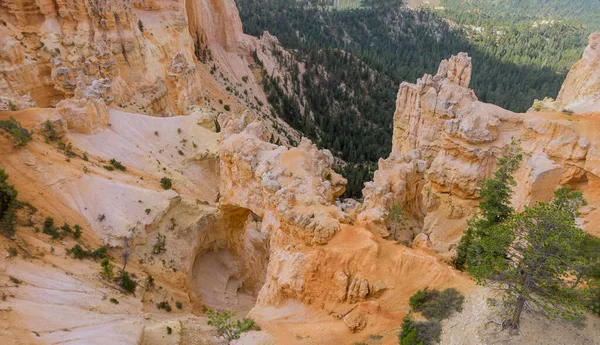 Panoramik manzara, geniş format Zion Canyon Ulusal Parkı, ABD,