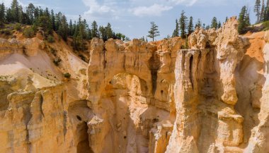 ABD 'nin Utah eyaletindeki Zion Canyon Ulusal Parkı' ndaki dağlardaki güzel yaz manzarası.
