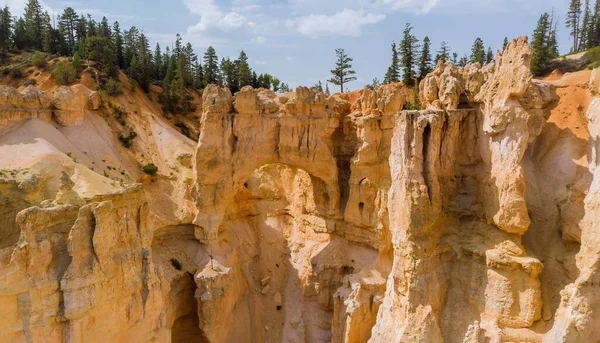 ABD 'nin Utah eyaletindeki Zion Canyon Ulusal Parkı' ndaki dağlardaki güzel yaz manzarası.
