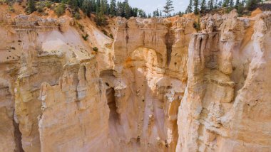 Güneşli bir kayanın üzerinden Zion Ulusal Parkı 'nın kırmızı bir kayası görünüyor.