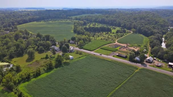 Zelené a žluté pole z velké výšky v létě na letu dronu nad loukami — Stock video