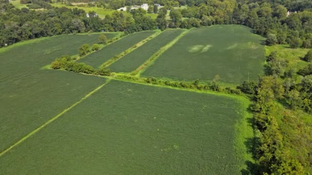 Flygfoto över en amerikansk landsbygd by hus har en stor trädgård med av gården fält i Pennsylvania USA — Stockvideo