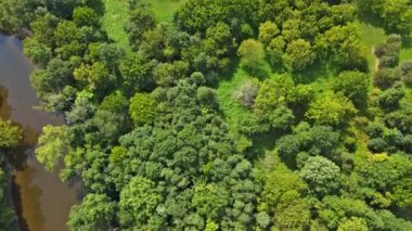Pensilvanya üzerinde Amerikan kırsal köyünün panoramik hava aracı görüntüsü.