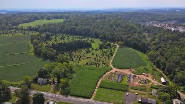 Krajobraz zielonego pola pod malowniczym latem w Pensylwanii USA — Wideo stockowe