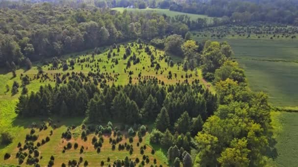 Vue depuis les hauteurs de la campagne américaine village avec champs ferme en Pennsylvanie Etats-Unis — Video