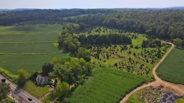 Schöne Luftaufnahme einer ländlichen Landschaft Feld Gras Sommer in Pennsylvania US — Stockvideo