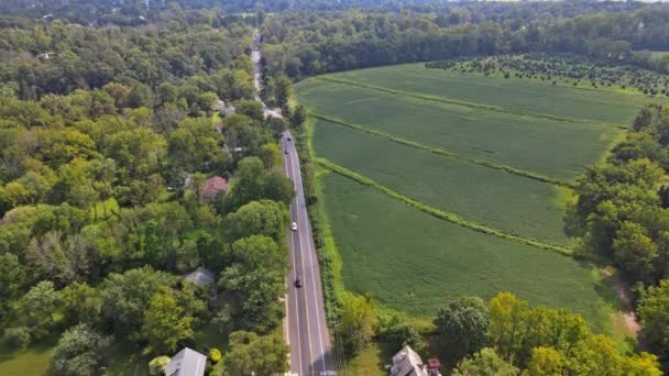 Αεροφωτογραφία της αμερικανικής υπαίθρου τοπίο χωράφια γης πράσινο στο δρόμο μέσα από το πεδίο στην Πενσυλβάνια ΗΠΑ — Αρχείο Βίντεο