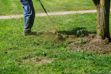 Bahçıvan güneşli bir günde bir el çim biçme makinesiyle çimleri biçer.