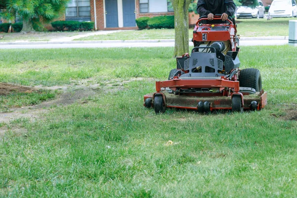Seorang Pria Menggunakan Mesin Pemotong Rumput Seorang Tukang Kebun Memotong — Stok Foto