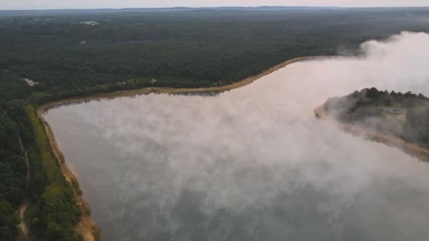 Morgens aufsteigender Nebelsee mit Waldnebel über dem Wasser — Stockvideo