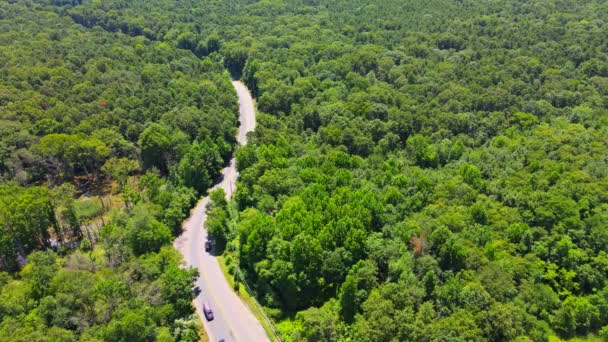 Αεροφωτογραφία του επαρχιακού δρόμου που διέρχεται από το καταπράσινο δάσος — Αρχείο Βίντεο