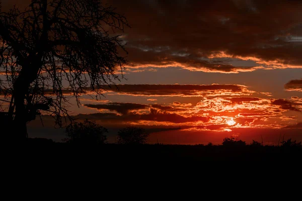 Herrliche Feurig Orange Und Lila Sonnenuntergang Schönen Himmel — Stockfoto