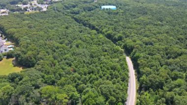 Bir taşra yolunun yeşil ormanından geçen kırsal yolun havadan görüntüsü.