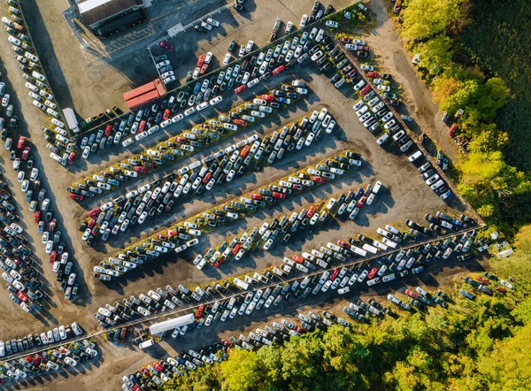 Auction lot on car distributed in rows a used cars terminal parked