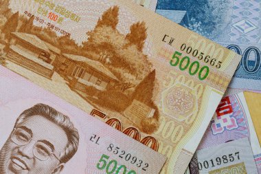 Çeşitli para birimi faturaları Kuzey Kore KPW 'nin kazandığı parayı gösteriyor