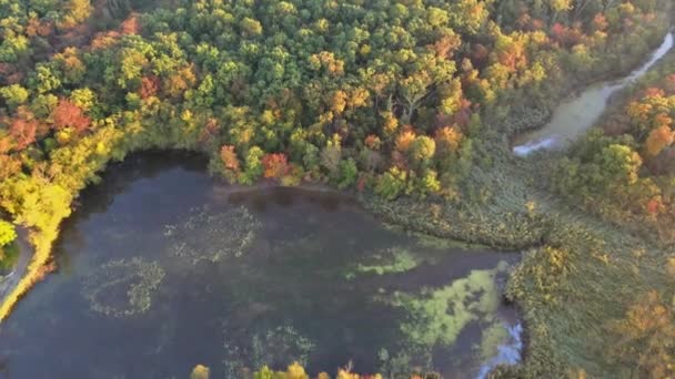 Hösten utsikt från en höjd av panoramautsikt vackra varma färger en skog sjö — Stockvideo