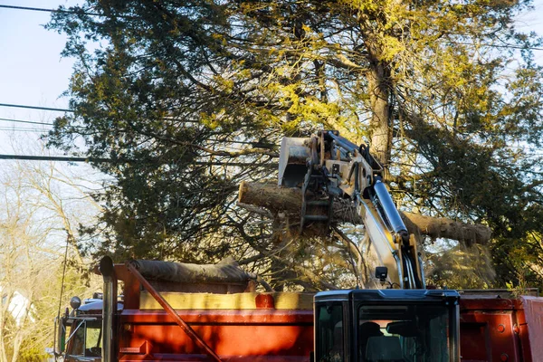 市内では古い樹齢木のトラックへの積み込みが行われています — ストック写真