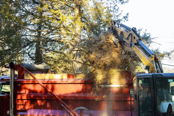 特殊トラクターで地面に積み上げ木の枝に切り株を削除サービス — ストック写真