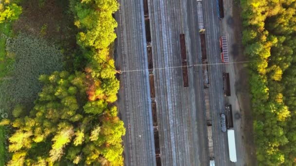 Flygfoto över från höjden på järnvägen i mitten av hösten färg, lövskog — Stockvideo