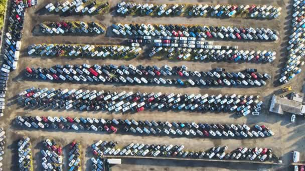 Viele Gebrauchtwagenversteigerungen auf einem Parkplatz. — Stockvideo