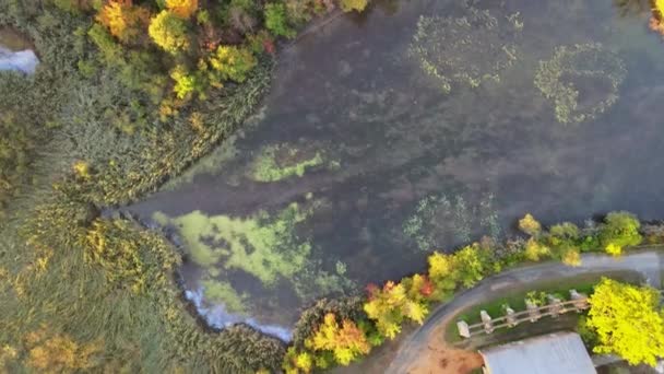 Waldpanorama im Herbst aus der Höhe ein schöner ruhiger See in der Landschaft — Stockvideo