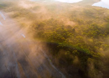 Rengarenk dramatik sisli gün batımı. Gün doğumu harika bir sabah sisi.