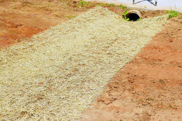 Соломенный коврик помещается на голой почве, чтобы предотвратить эрозию, расположенной дренажной трубой под после посева травы