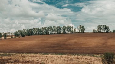 Bulutlu gökyüzü arka planında ağaçlar ve tarlalar olan tipik kırsal alan manzarası. Tarım vadisi tarım kavramı. 