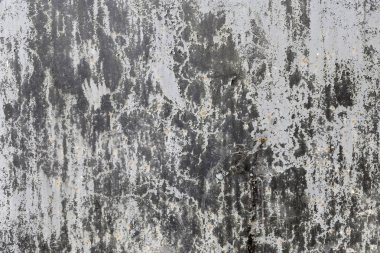 kaba gri renkli duvar doku