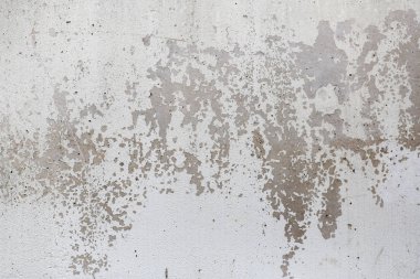 kaba gri renkli duvar doku