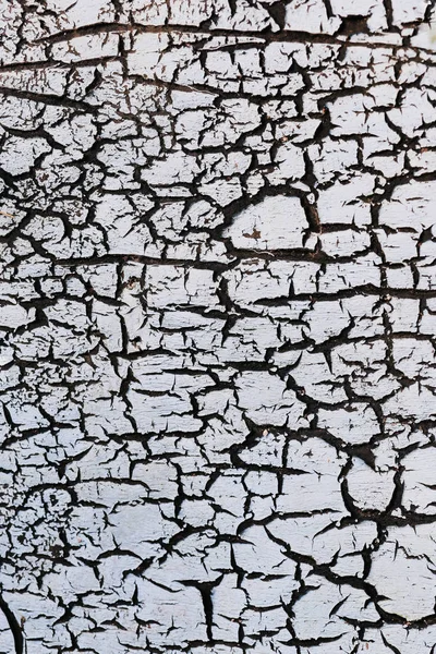 gri doku duvar eski ile çatlamak