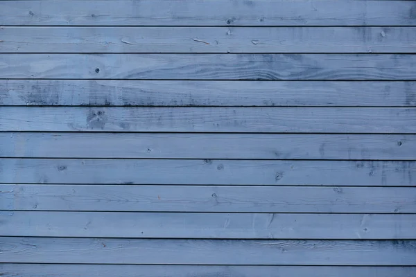 Yatay gri kurulların doku