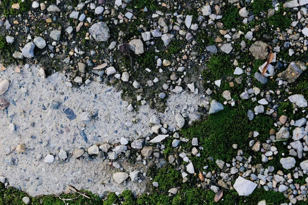 La texture. les pierres sur le sol . — Photo