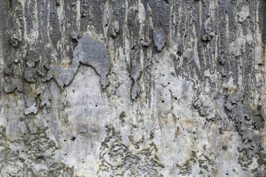 eski gri duvarlar doku