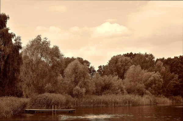 Озеро Причалом Деревьями Заднем Плане Sepia — стоковое фото