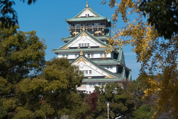 Porostu Buddy Hozen Rozciągacz Japonii — Zdjęcie stockowe