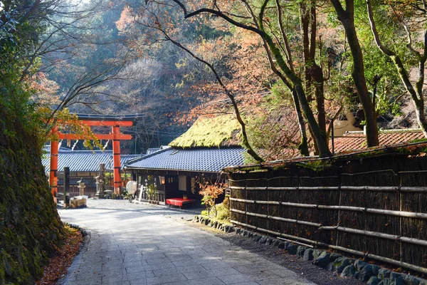 Japonya Akçaağaç Ile Sonbahar Japon Bahçesi — Stok fotoğraf