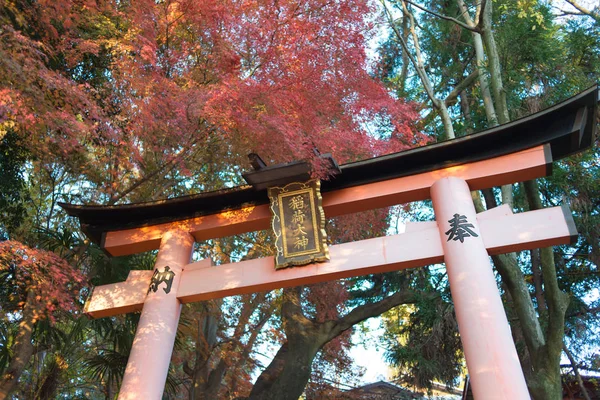 秋の風景 赤い飛躍 — ストック写真