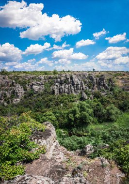 Panoramik nehir ve bulutlu gökyüzü, Ukrayna'nın doğa harikalarından biri ile derin granit Aktovo Kanyon.