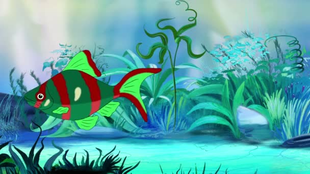 Aquarium Fish Rouge Vert Flotte Dans Aquarium Animation Main Mouvement — Video