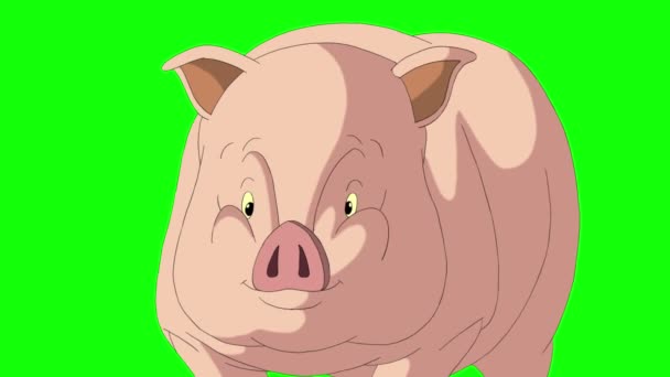 黄色粉红色小猪跑 动画循环运动图形隔离在绿色屏幕上 2019市农历新年快乐 — 图库视频影像