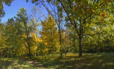 Ukrayna 'nın Uman kentindeki Sofiyivka parkında güzel sonbahar ağaçları