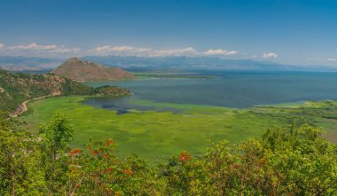 Karadağ 'ın başkenti Karadağ' da güneşli bir yaz gününde Skadar Gölü ve Crnojevica nehrinin yukarısından panoramik manzara