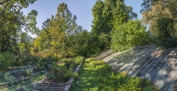 Gemütliche Verlassene Ecke Des Alten Botanischen Gartens Odessa Ukraine Einem — Stockfoto