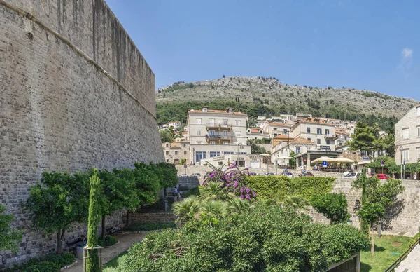 Dubrovnik Croacia 2018 Pequeño Jardín Cerca Pared Fuera Del Casco — Foto de Stock