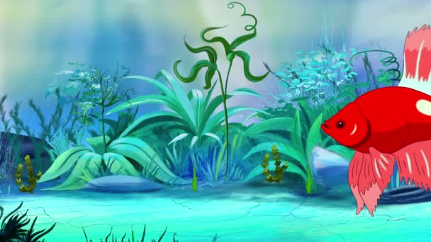 Roter Aquarienhahnfisch Schwimmt Einem Aquarium Handgemachte Animation Loopinggrafik — Stockvideo